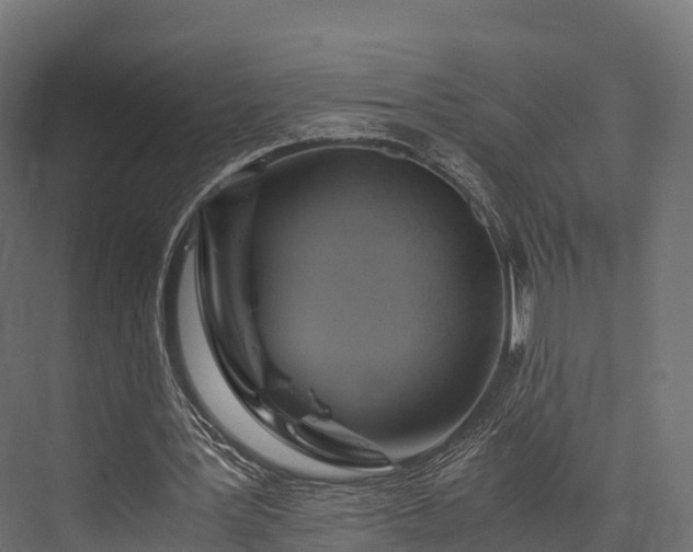 X0000076310387200610061336