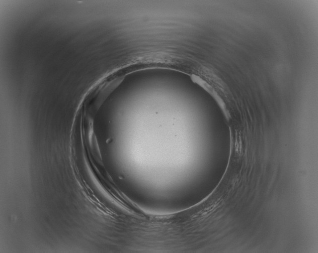 X0000076310388200610061336
