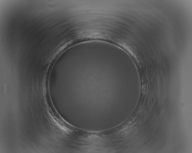 X0000076310390200610061335