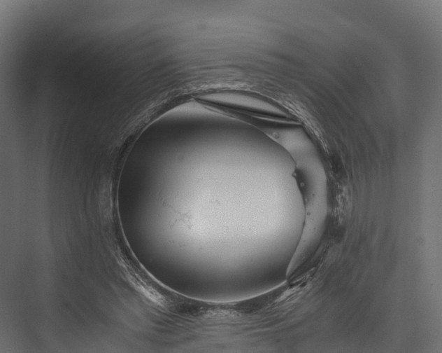 X0000076310397200610061335