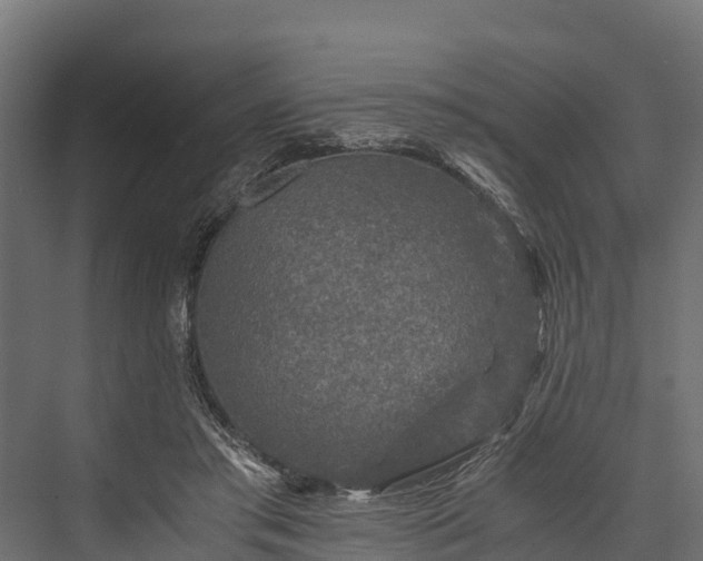 X0000076310405200610061335