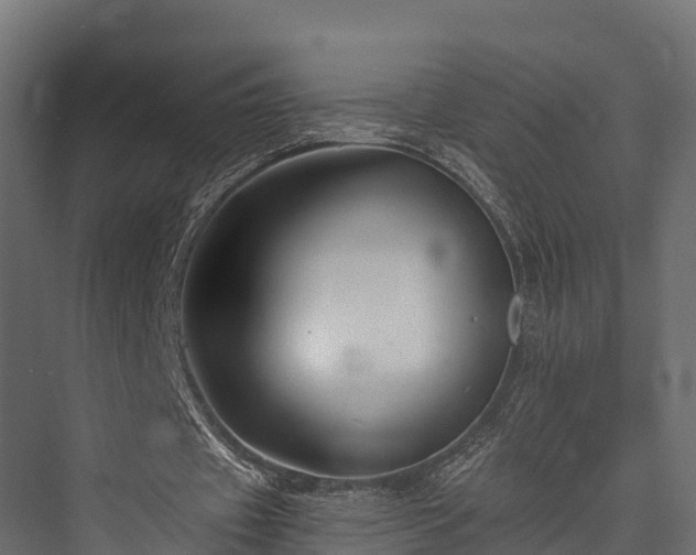 X0000076310433200610061334