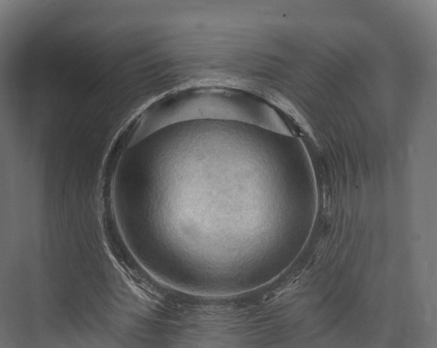 X0000076310436200610061334