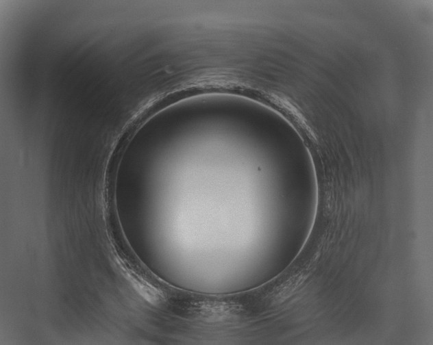 X0000076310439200610061334