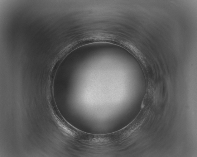 X0000076310445200610061334