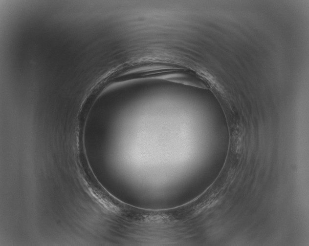 X0000076310446200610061334