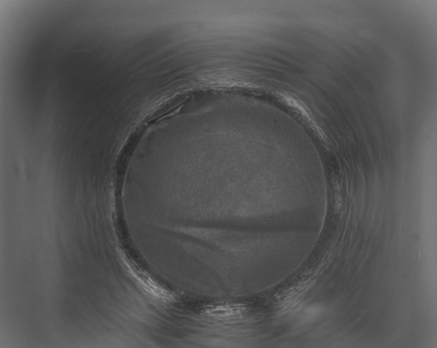 X0000076310447200610061334