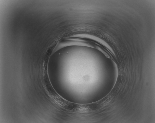 X0000076310456200610061334