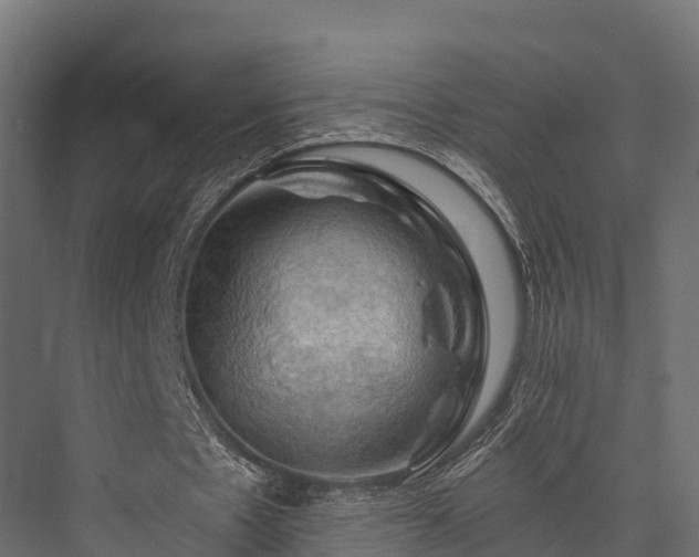 X0000076310481200610061334