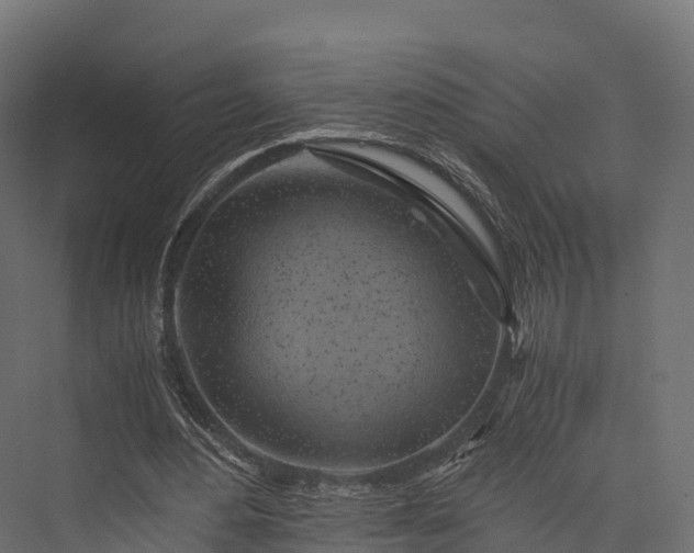 X0000076310484200610061334