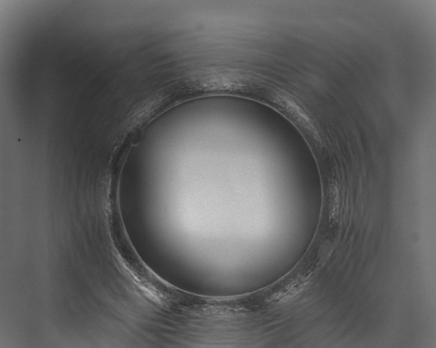 X0000076310490200610061334