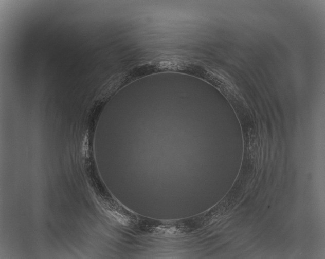 X0000076310502200610061334