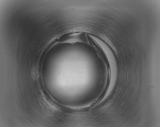 X0000076310530200610061332