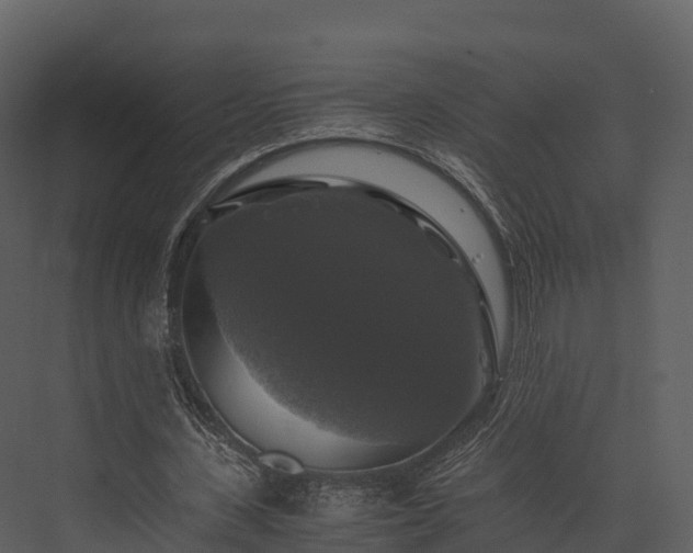 X0000076310531200610061332