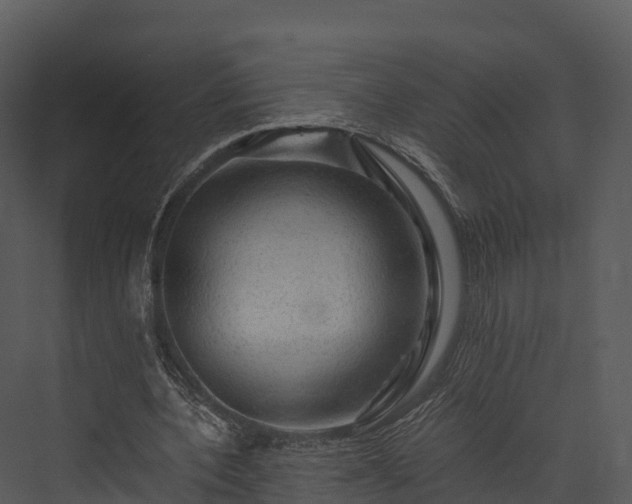 X0000076310532200610061332