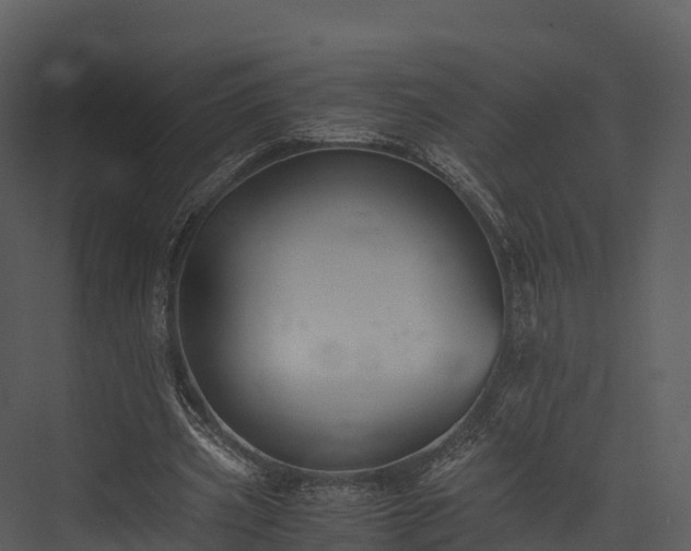 X0000076310533200610061332