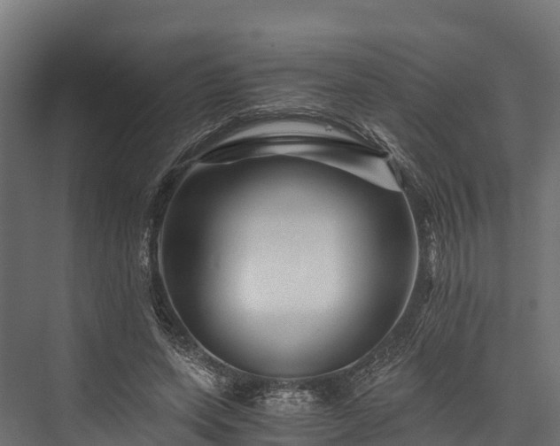 X0000076310543200610061333