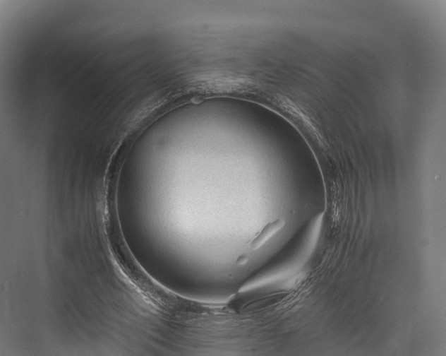 X0000076310582200610061332