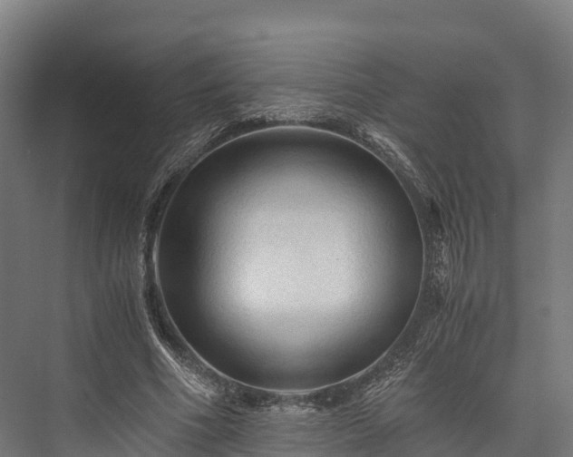 X0000076310586200610061332