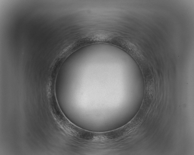 X0000076310591200610061332