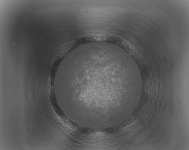 X0000076310594200610061332