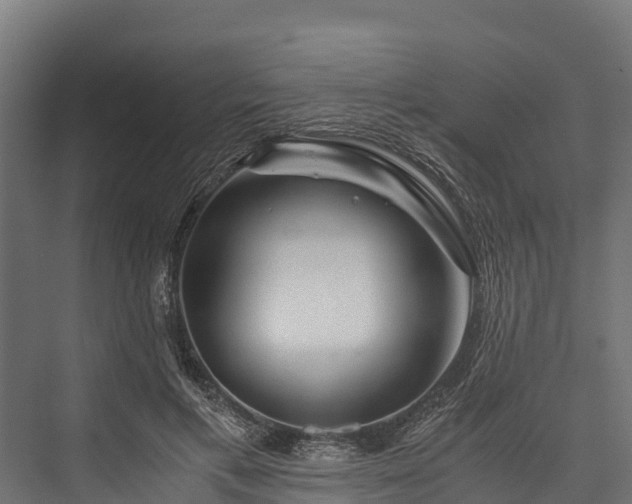 X0000076310597200610061332