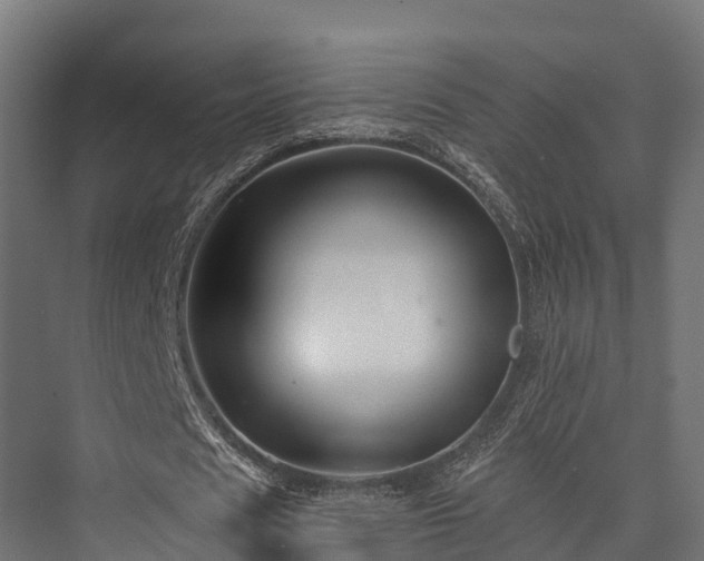 X0000076310625200610061331