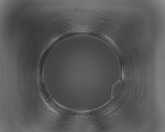 X0000076310627200610061331