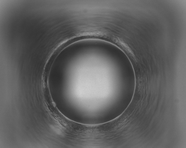 X0000076310628200610061331