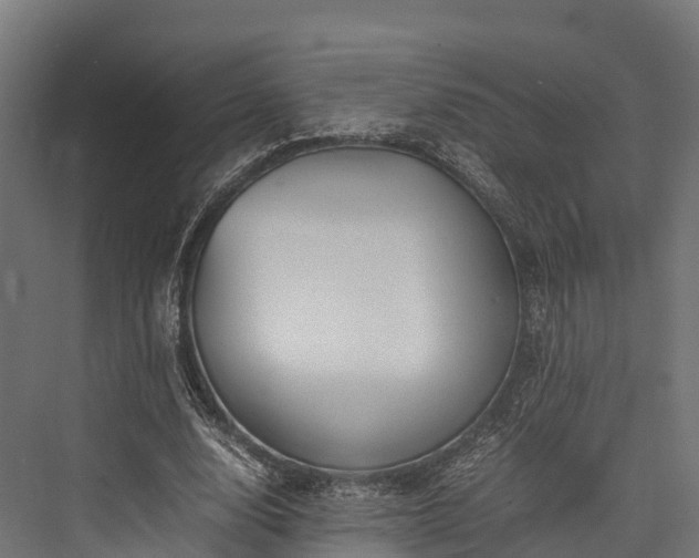 X0000076310632200610061331