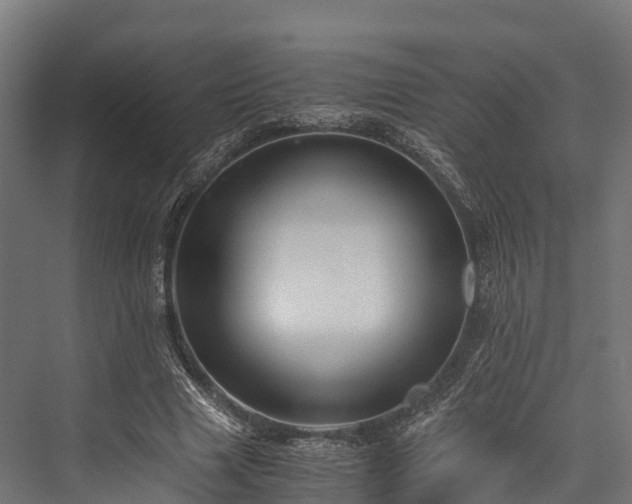 X0000076310633200610061331