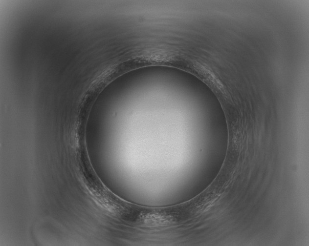 X0000076310635200610061331