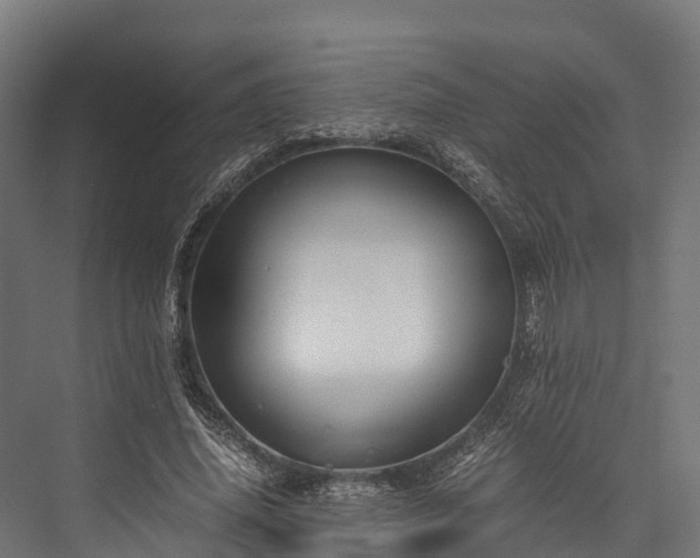 X0000076310636200610061331
