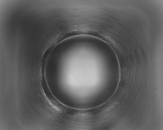 X0000076310638200610061331