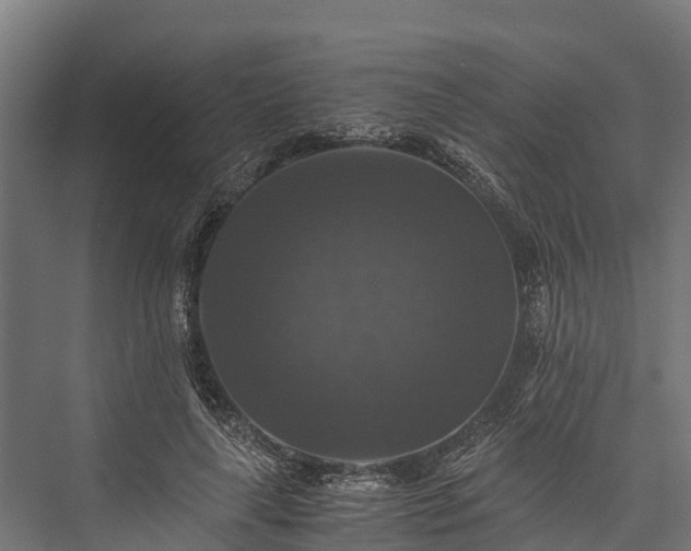 X0000076310643200610061331