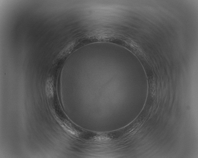 X0000076310644200610061331