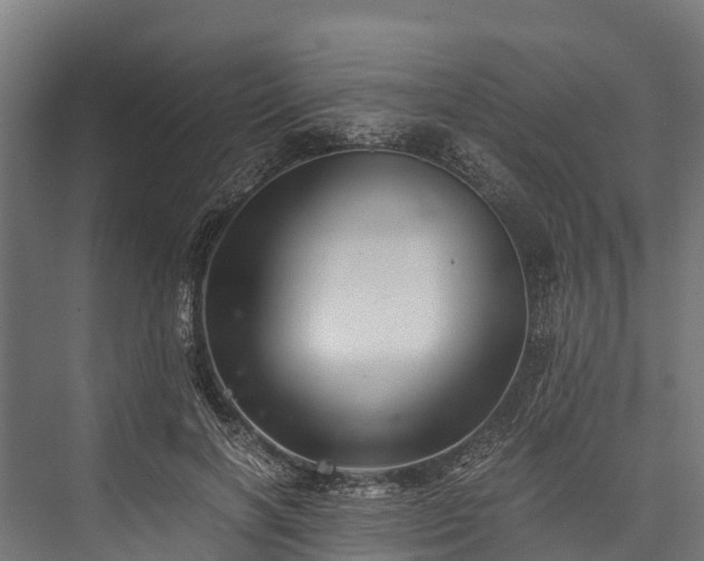 X0000076310646200610061331