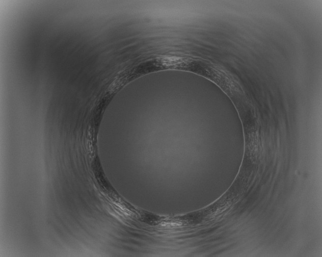 X0000076310653200610061331