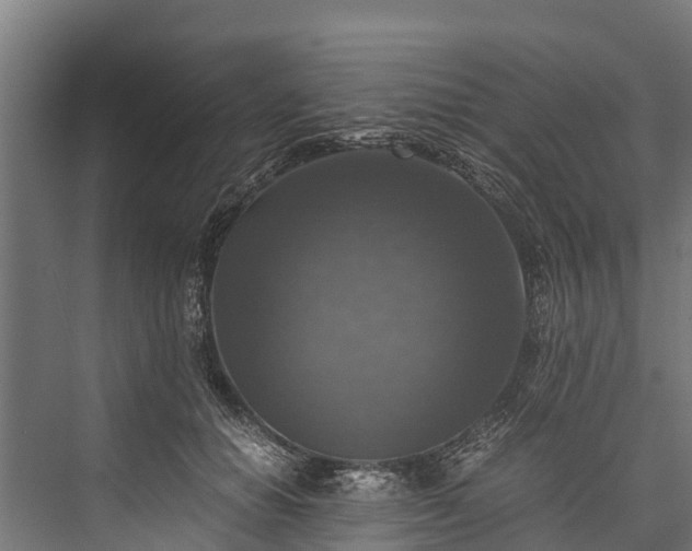 X0000076310654200610061331