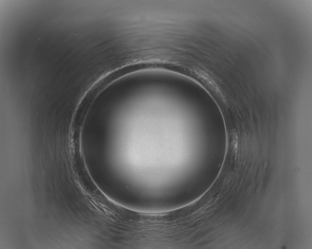 X0000076310676200610061331