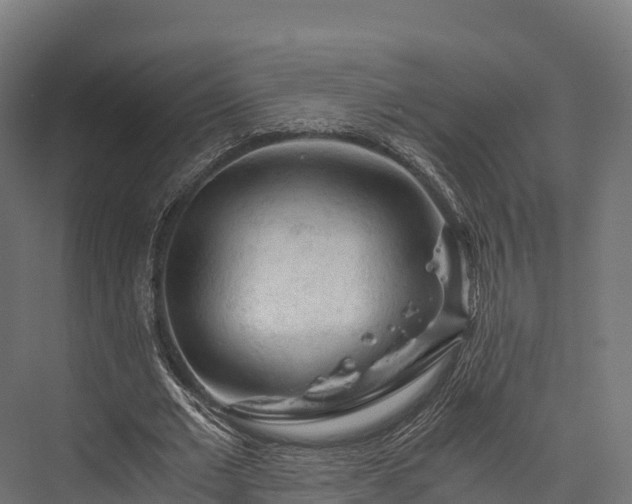 X0000076310677200610061331