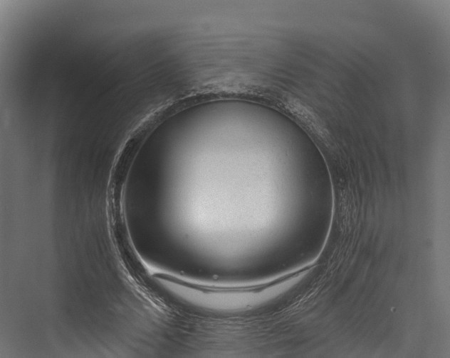 X0000076310680200610061331