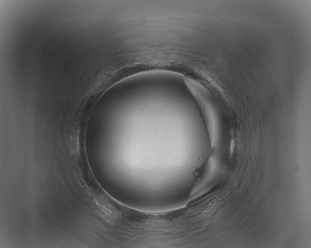 X0000076310685200610061331