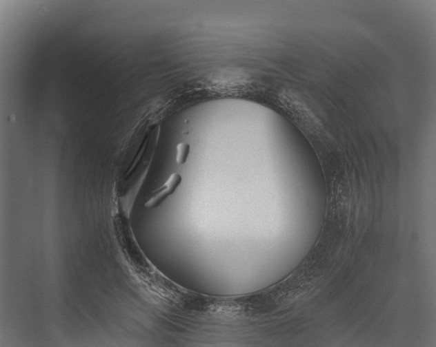 X0000076310694200610061330