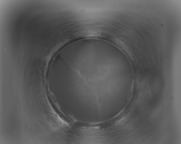 X0000076310721200610061329