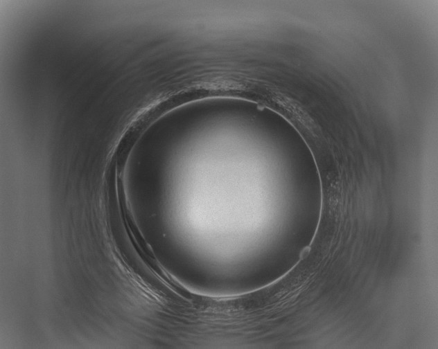 X0000076310727200610061329