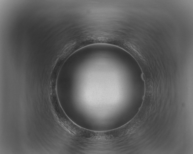X0000076310738200610061329