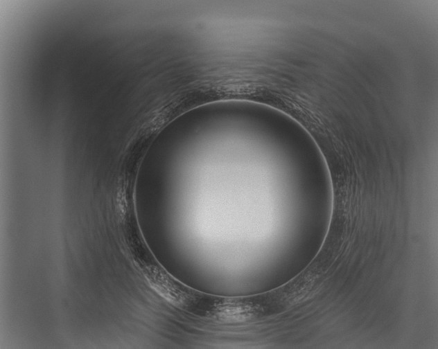 X0000076310746200610061330