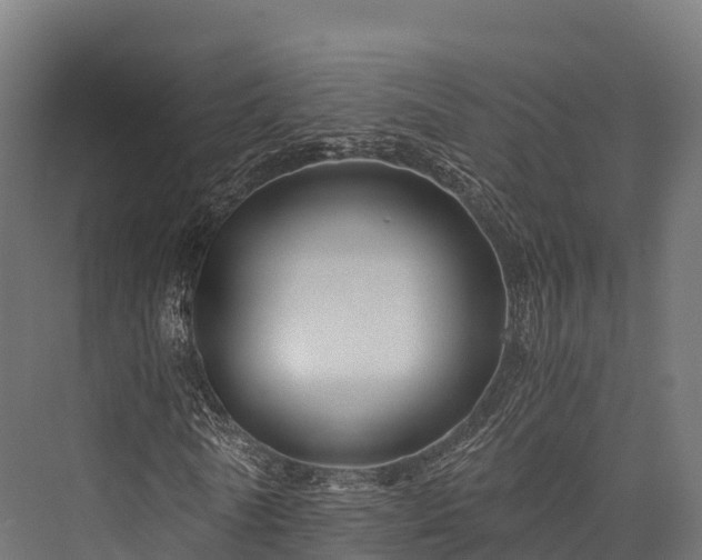 X0000076310770200610061329