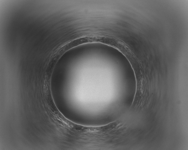 X0000076310773200610061329